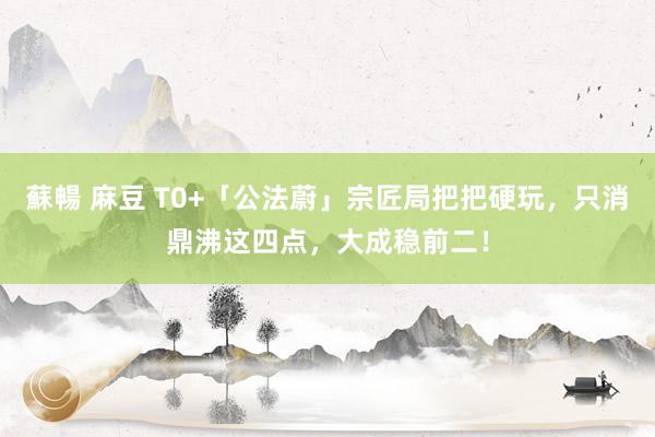 蘇暢 麻豆 T0+「公法蔚」宗匠局把把硬玩，只消鼎沸这四点，大成稳前二！