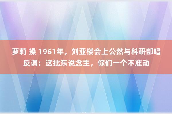 萝莉 操 1961年，刘亚楼会上公然与科研部唱反调：这批东说念主，你们一个不准动