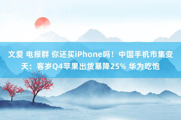 文爱 电报群 你还买iPhone吗！中国手机市集变天：客岁Q4苹果出货暴降25% 华为吃饱
