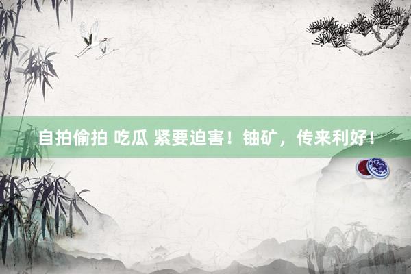自拍偷拍 吃瓜 紧要迫害！铀矿，传来利好！