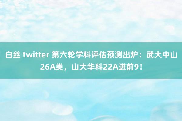 白丝 twitter 第六轮学科评估预测出炉：武大中山26A类，山大华科22A进前9！
