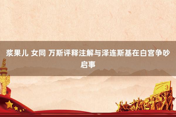 浆果儿 女同 万斯评释注解与泽连斯基在白宫争吵启事