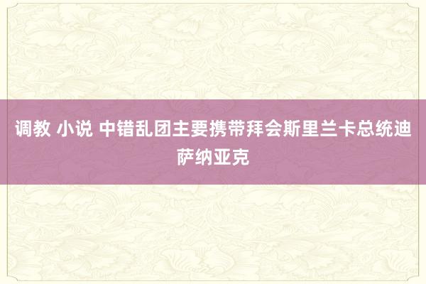 调教 小说 中错乱团主要携带拜会斯里兰卡总统迪萨纳亚克