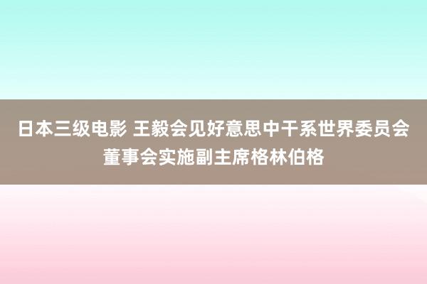 日本三级电影 王毅会见好意思中干系世界委员会董事会实施副主席格林伯格