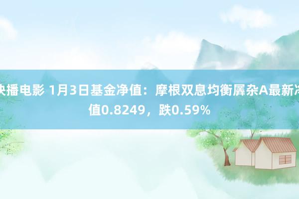 快播电影 1月3日基金净值：摩根双息均衡羼杂A最新净值0.8249，跌0.59%