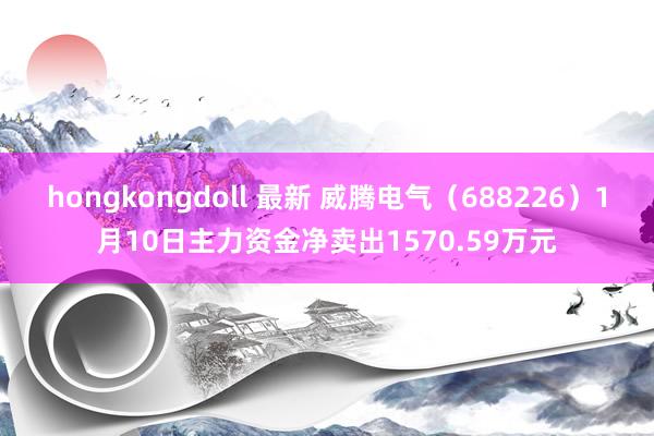 hongkongdoll 最新 威腾电气（688226）1月10日主力资金净卖出1570.59万元