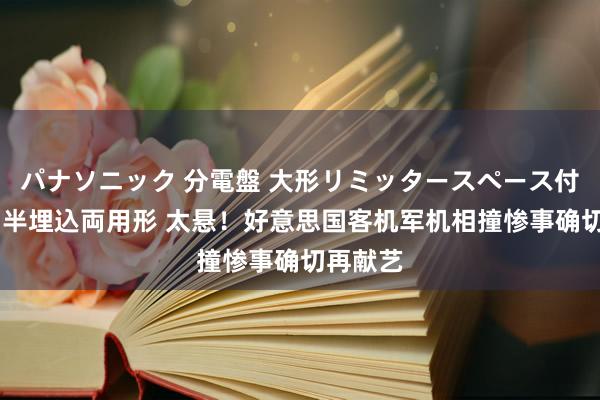 パナソニック 分電盤 大形リミッタースペース付 露出・半埋込両用形 太悬！好意思国客机军机相撞惨事确切再献艺