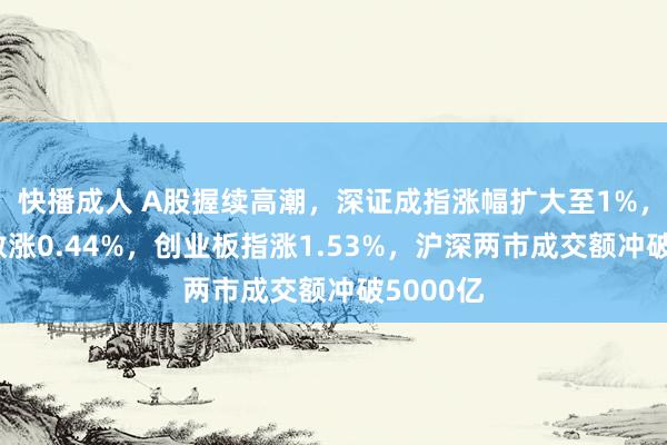快播成人 A股握续高潮，深证成指涨幅扩大至1%，上证指数涨0.44%，创业板指涨1.53%，沪深两市成交额冲破5000亿