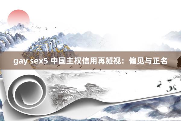 gay sex5 中国主权信用再凝视：偏见与正名