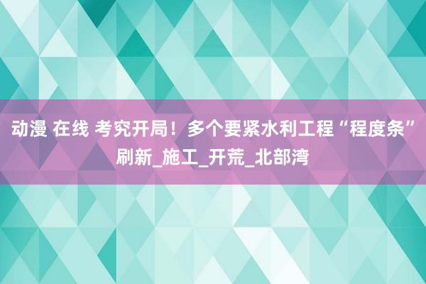 动漫 在线 考究开局！多个要紧水利工程“程度条”刷新_施工_开荒_北部湾