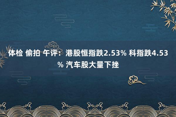 体检 偷拍 午评：港股恒指跌2.53% 科指跌4.53% 汽车股大量下挫