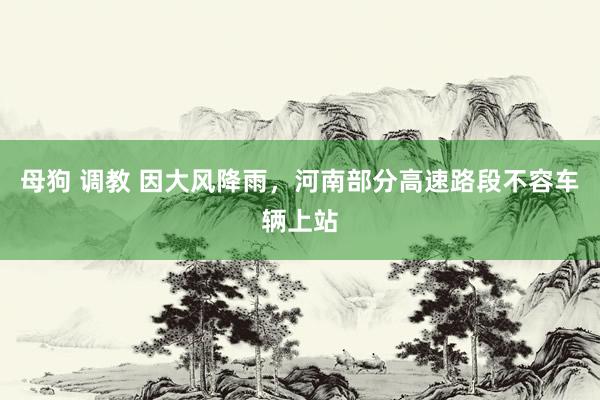 母狗 调教 因大风降雨，河南部分高速路段不容车辆上站