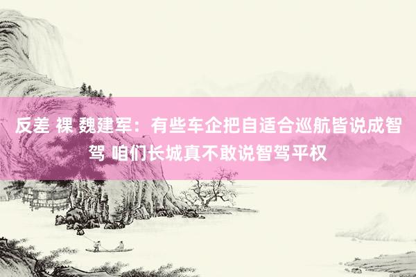 反差 裸 魏建军：有些车企把自适合巡航皆说成智驾 咱们长城真不敢说智驾平权