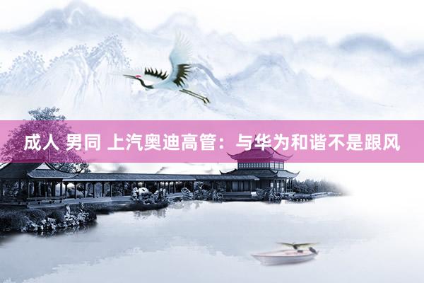 成人 男同 上汽奥迪高管：与华为和谐不是跟风
