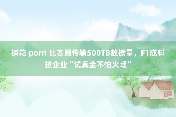 探花 porn 比赛周传输500TB数据量，F1成科技企业“试真金不怕火场”